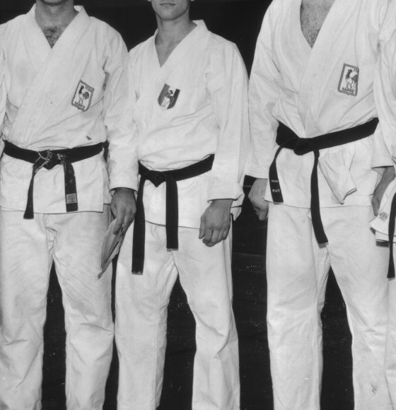 Karategi, de l’histoire et du sens