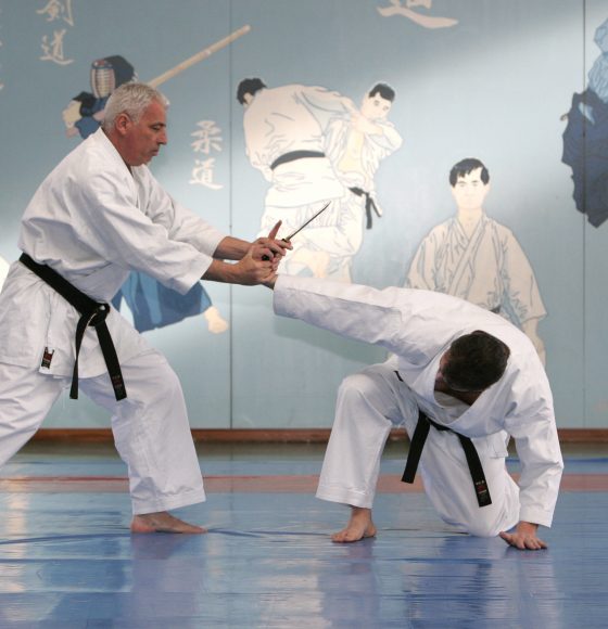 Tai-jitsu, l’école des fondamentaux